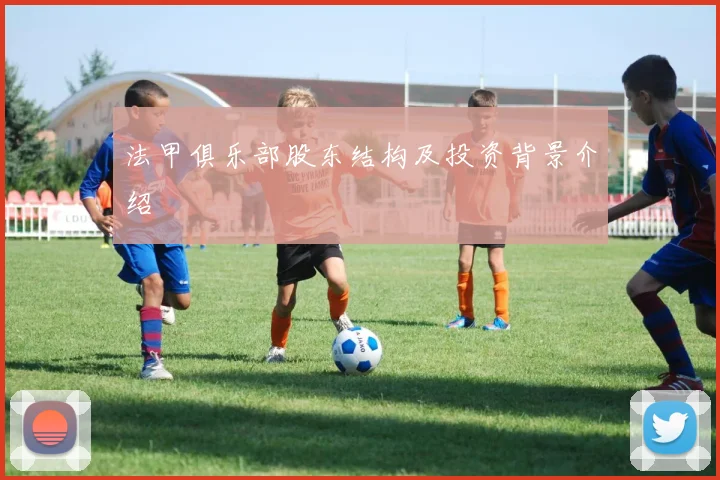 法甲俱乐部股东结构及投资背景介绍