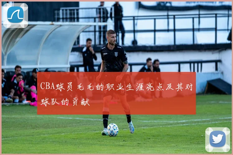 CBA球员毛毛的职业生涯亮点及其对球队的贡献