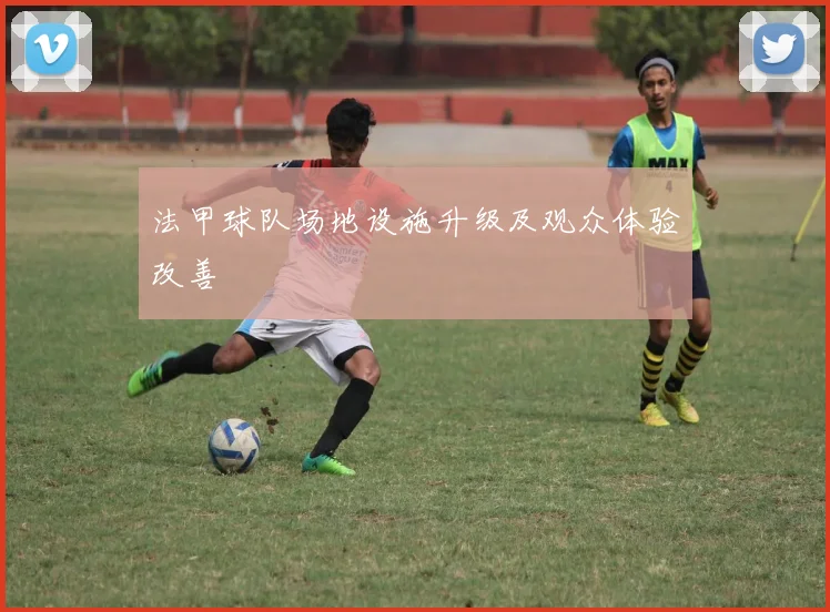 法甲球队场地设施升级及观众体验改善