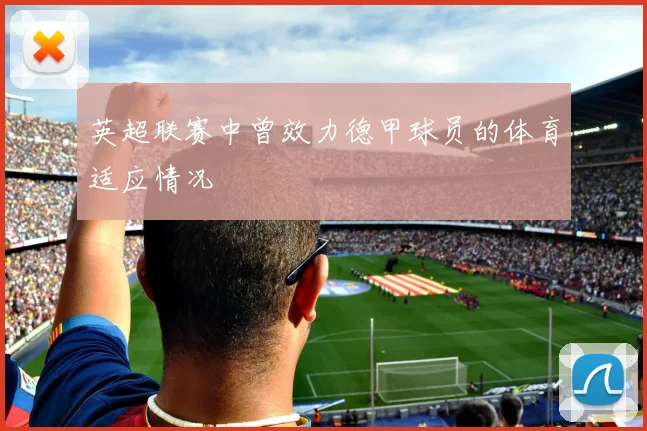 英超联赛中曾效力德甲球员的体育适应情况